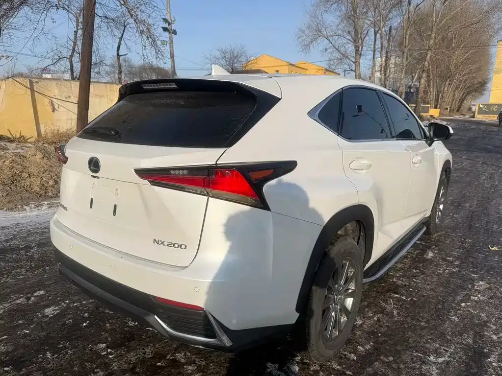 Lexus NX 2021 из CN, фото 9