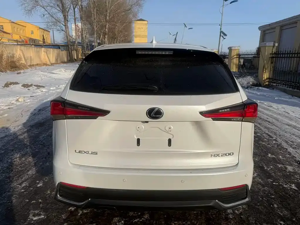 Lexus NX 2021 из CN, фото 7