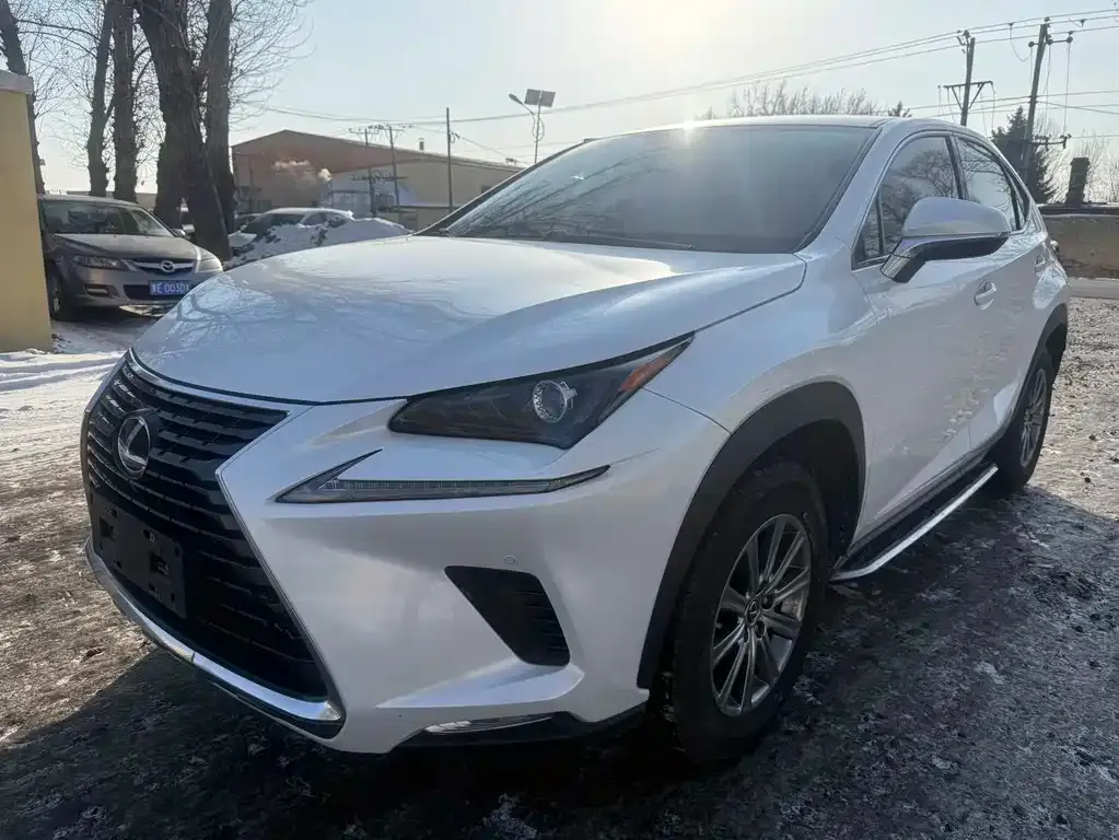 Lexus NX 2021 из CN, фото 8