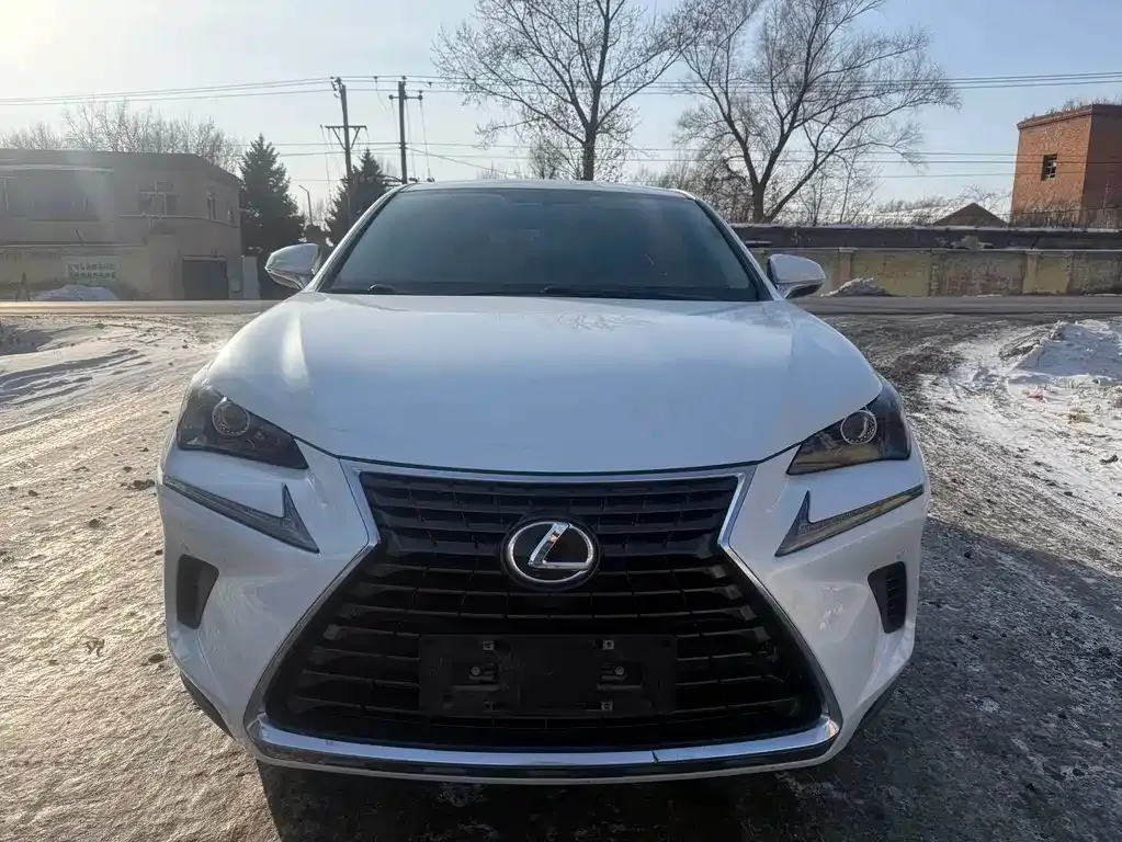 Lexus NX 2021 из CN, фото 10