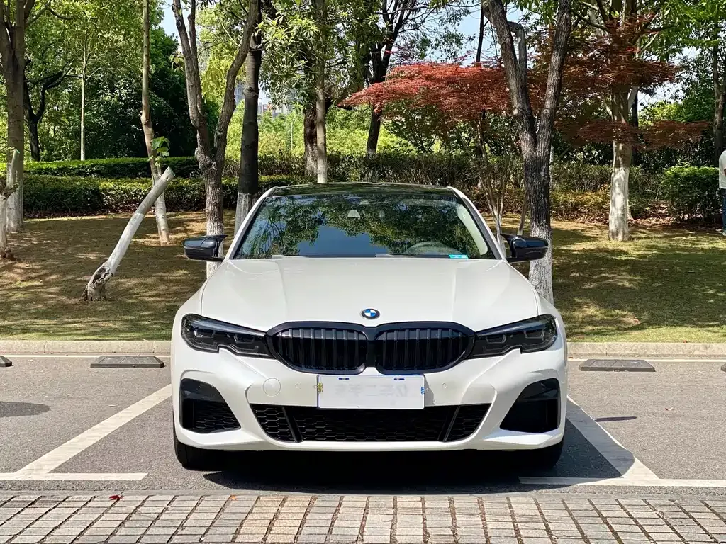 BMW 3 Series 2021 из CN, фото 8