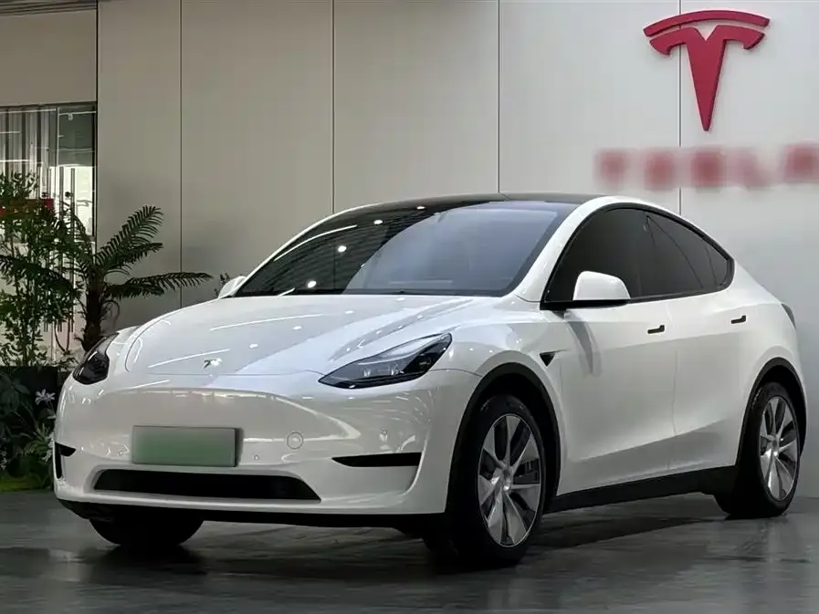 Tesla Model Y 2022 из CN, фото 1