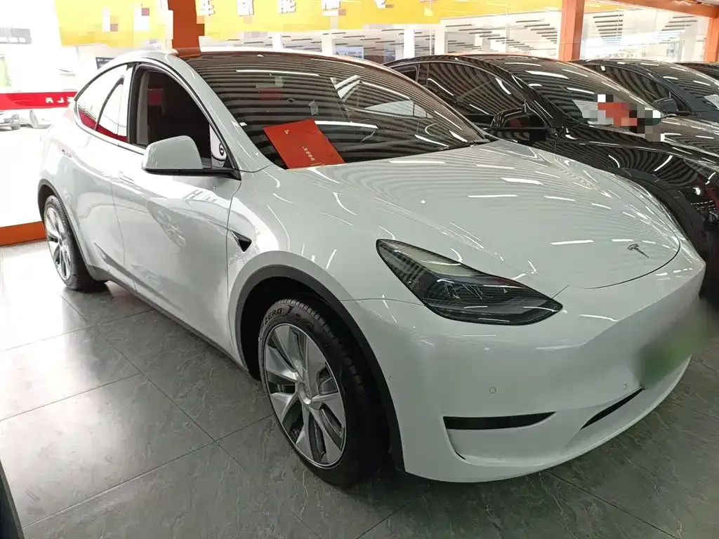 Tesla Model Y 2022 из CN, фото 6