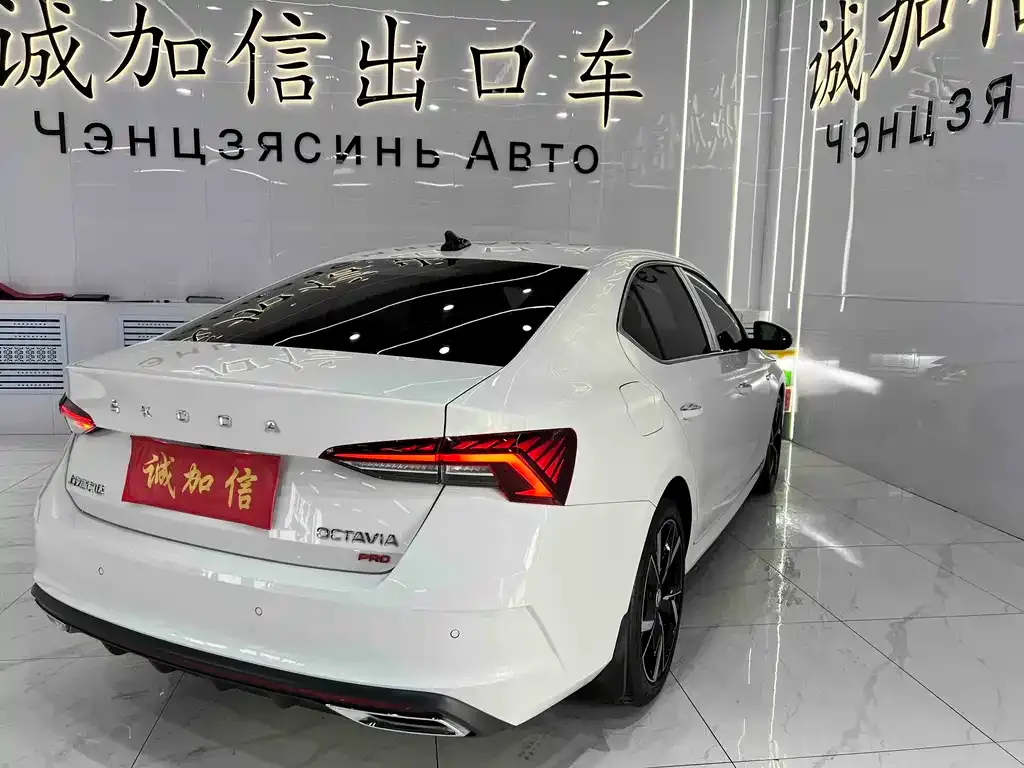 Skoda Octavia 2022 из CN, фото 2