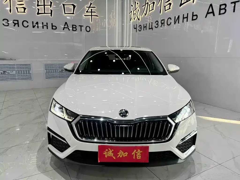 Skoda Octavia 2022 из CN, фото 3