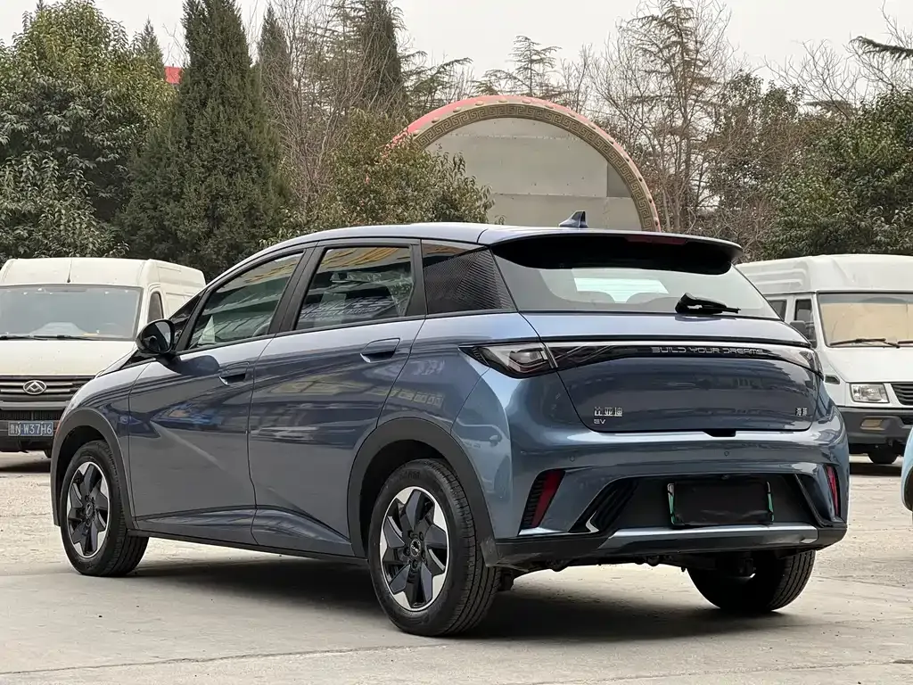 BYD Dolphin 2025 из CN, фото 6
