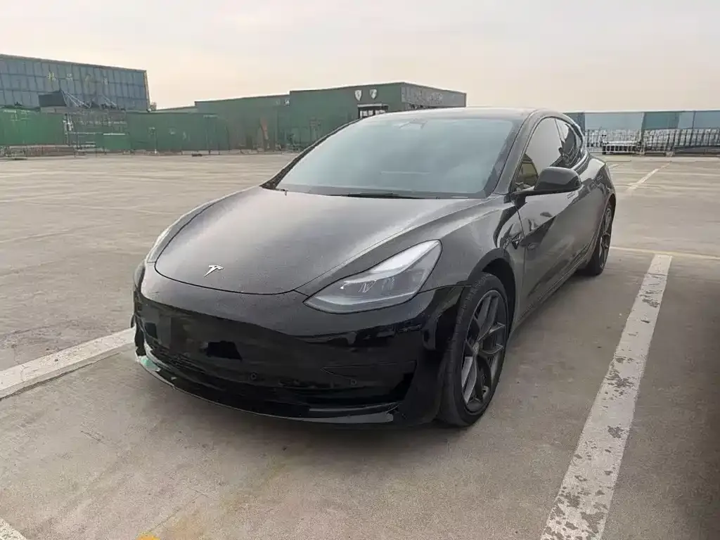 Tesla Model 3 2021 из CN, фото 1