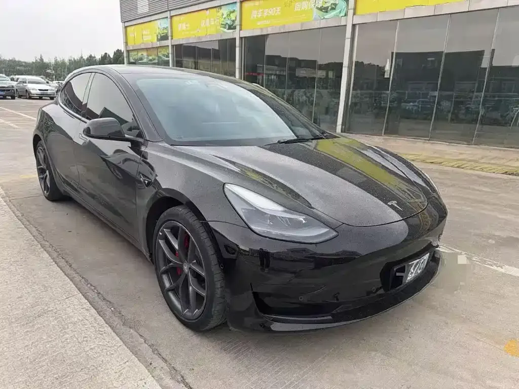 Tesla Model 3 2021 из CN, фото 5