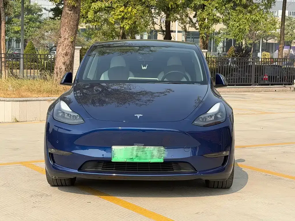 Tesla Model Y 2022 из CN, фото 9