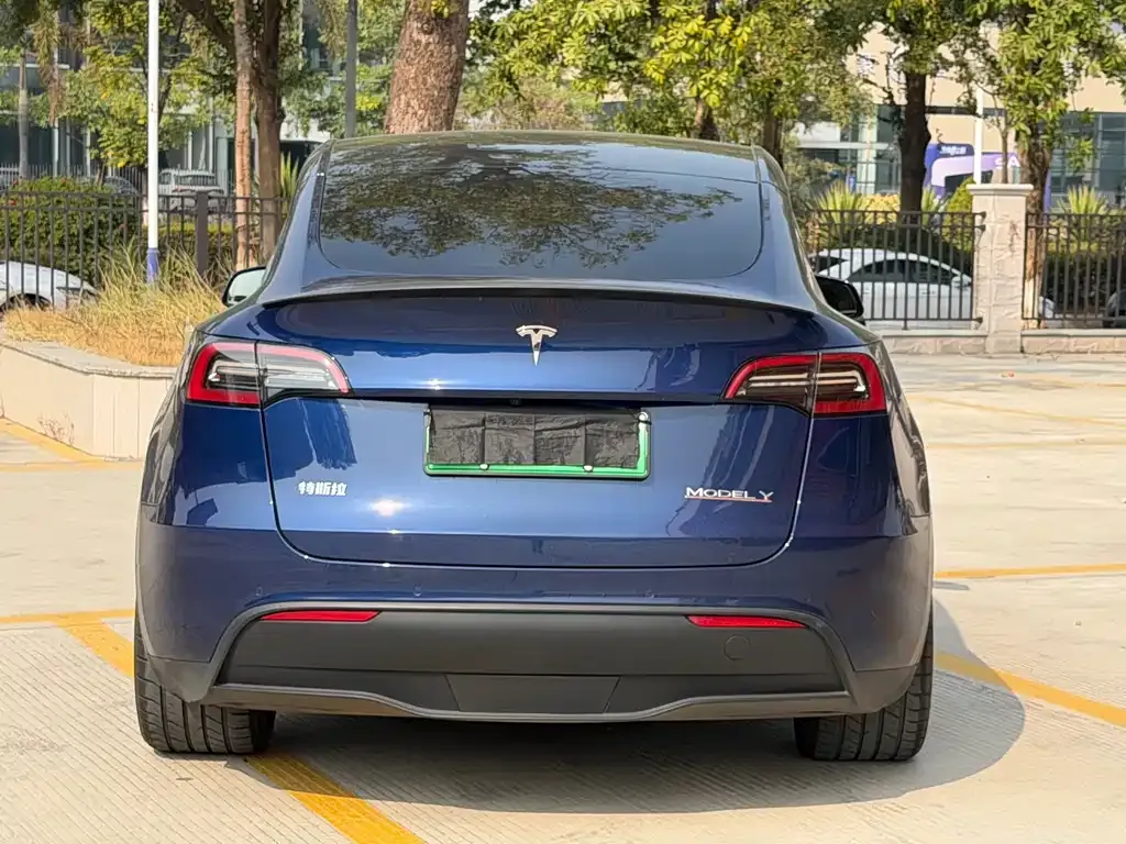 Tesla Model Y 2022 из CN, фото 3
