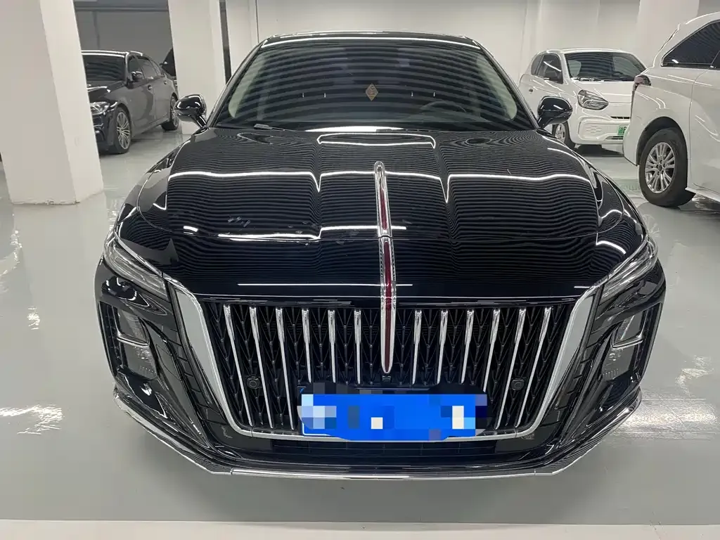 Hongqi H5 2024 из CN, фото 2