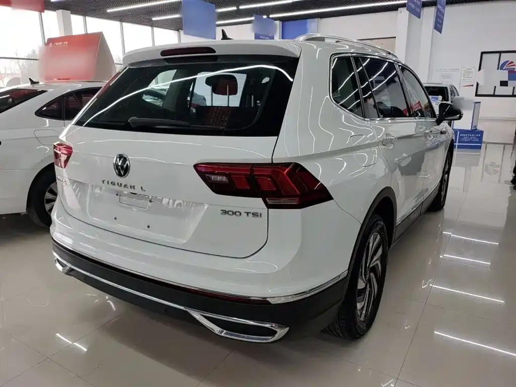 Volkswagen Tiguan L 2023 из CN, фото 9