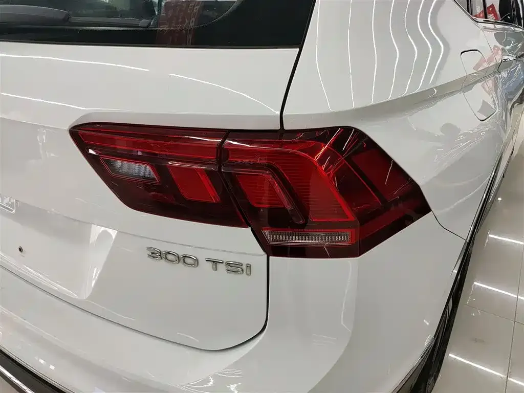 Volkswagen Tiguan L 2023 из CN, фото 7