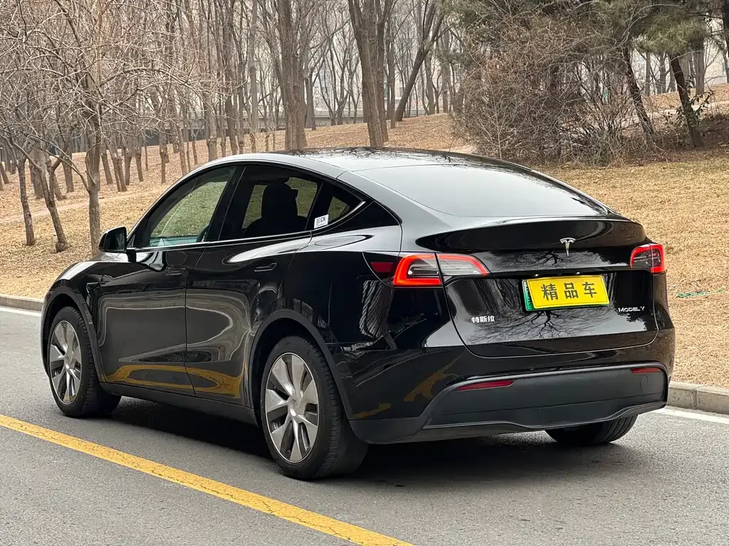 Tesla Model Y 2022 из CN, фото 9