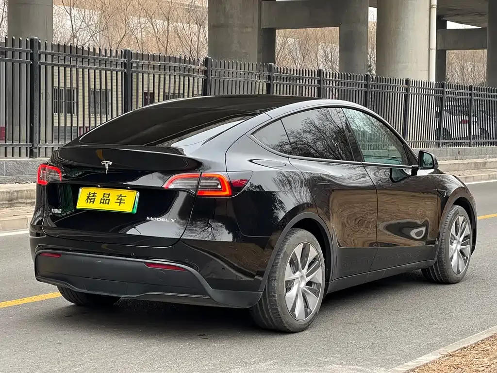 Tesla Model Y 2022 из CN, фото 3