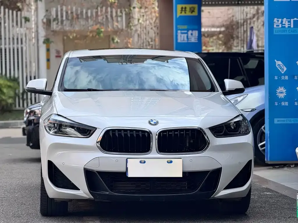 BMW X2 2022 из CN, фото 6