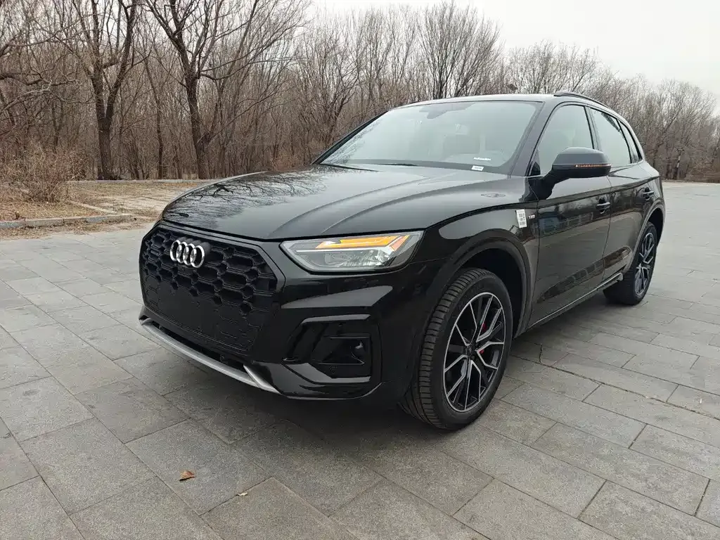 Audi Q5L 2025 из CN, фото 1