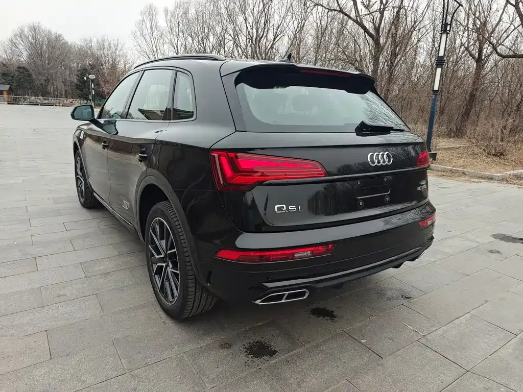 Audi Q5L 2025 из CN, фото 2