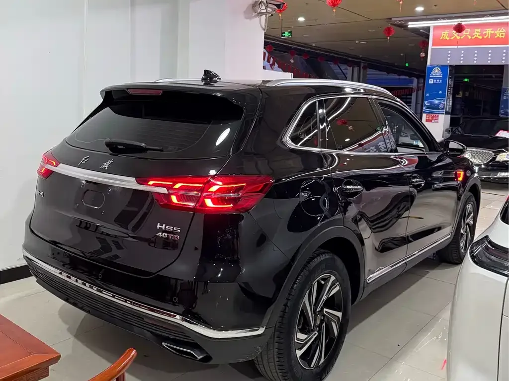 Hongqi HS5 2023 из CN, фото 9