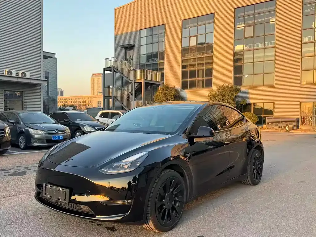 Tesla Model Y 2021 из CN, фото 1
