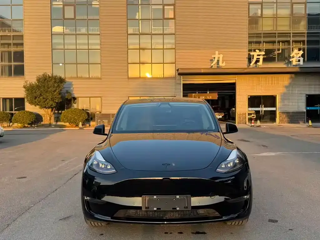 Tesla Model Y 2021 из CN, фото 2