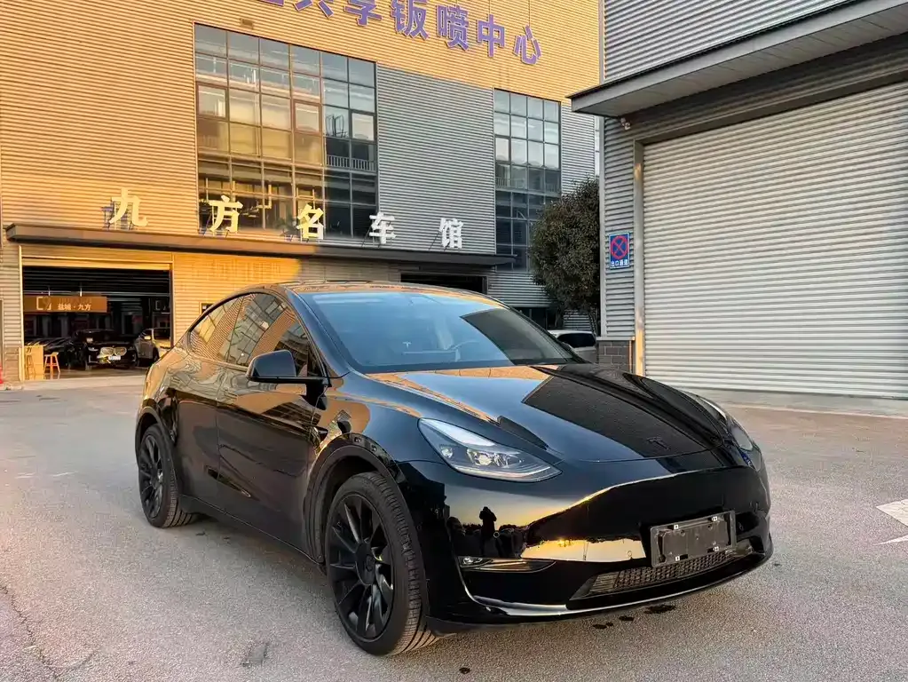 Tesla Model Y 2021 из CN, фото 9