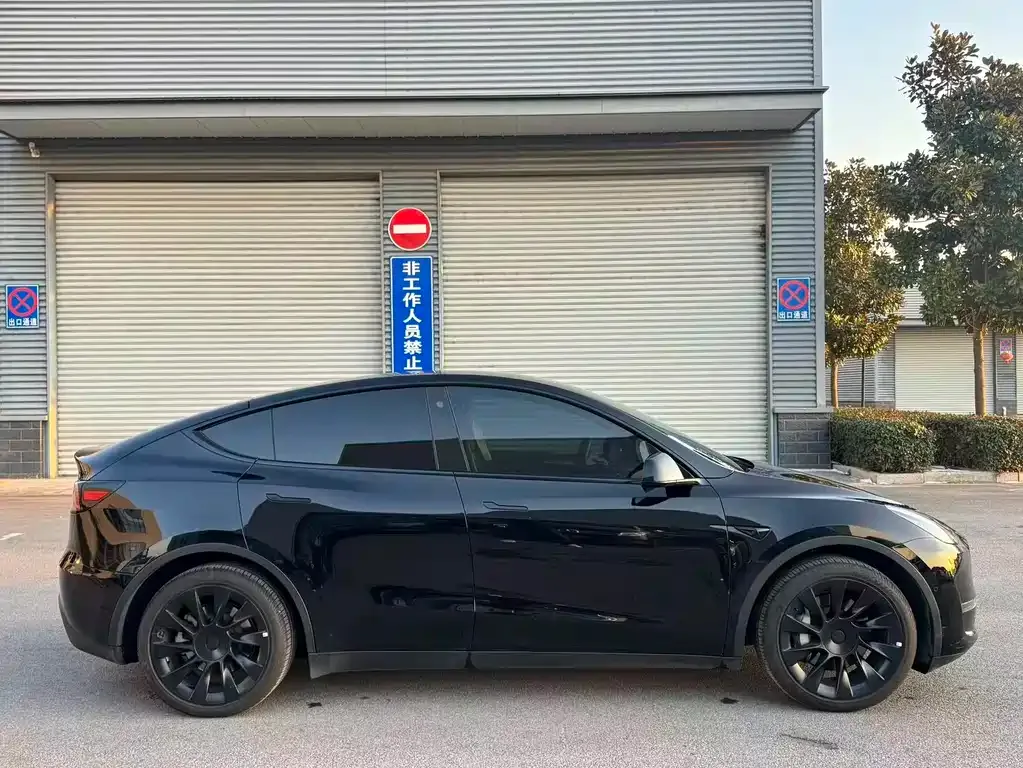 Tesla Model Y 2021 из CN, фото 8
