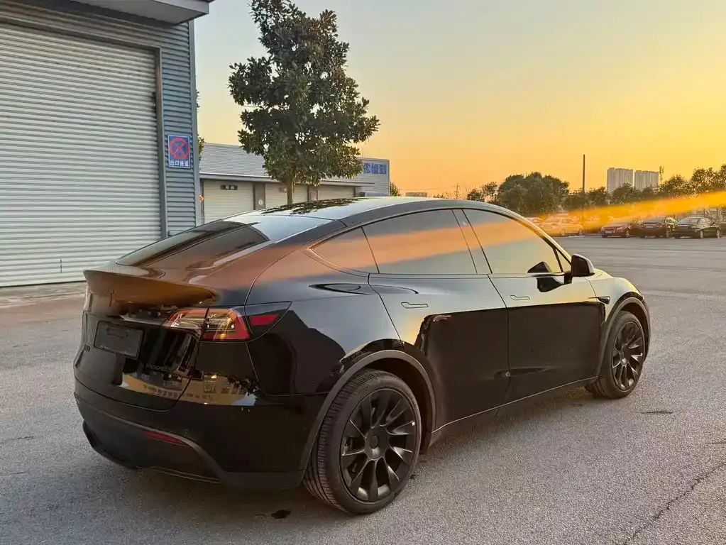 Tesla Model Y 2021 из CN, фото 4