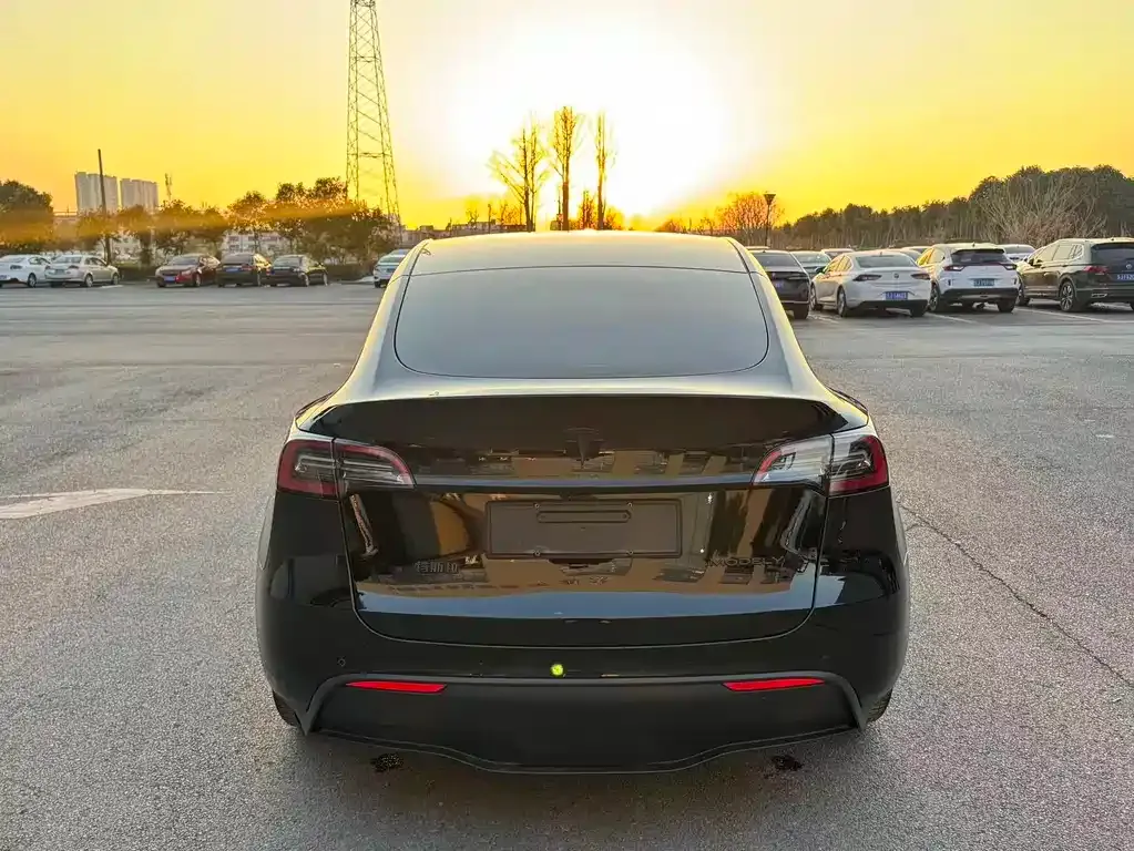 Tesla Model Y 2021 из CN, фото 10