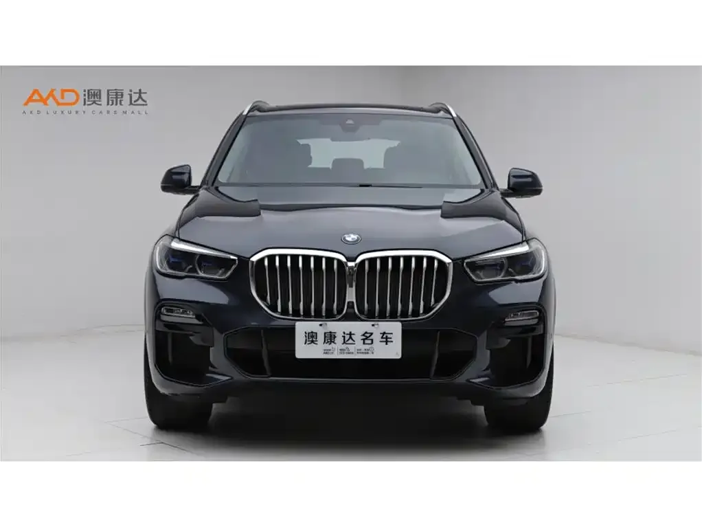 BMW X5 (Import) 2022 из CN, фото 9