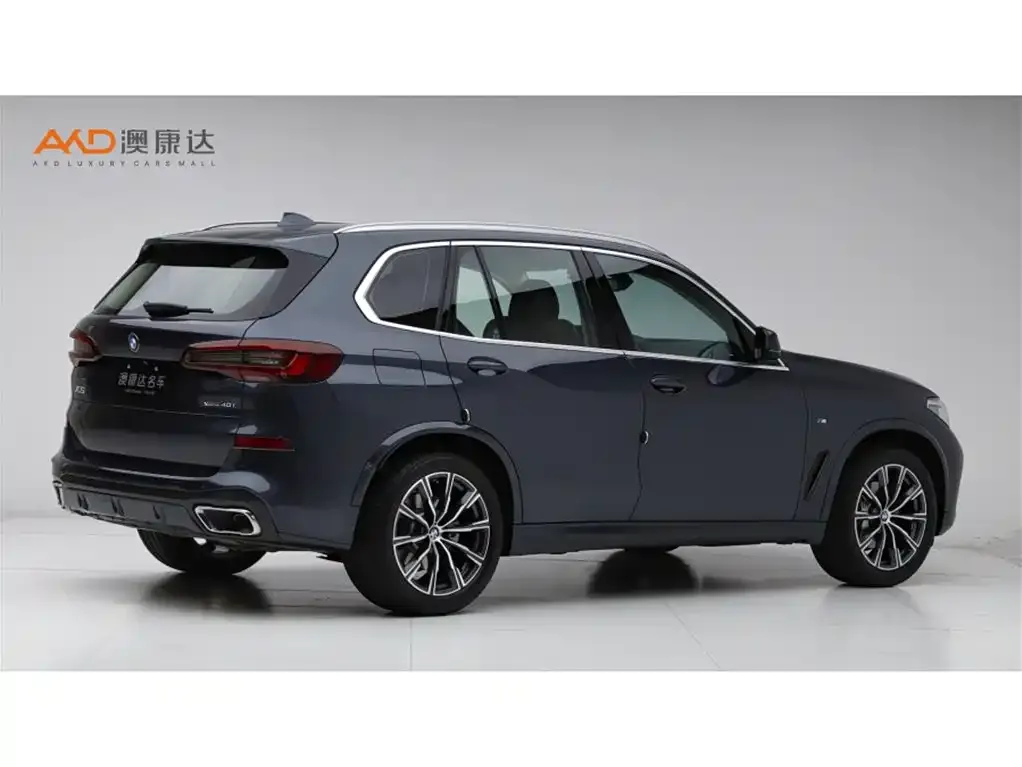 BMW X5 (Import) 2022 из CN, фото 8