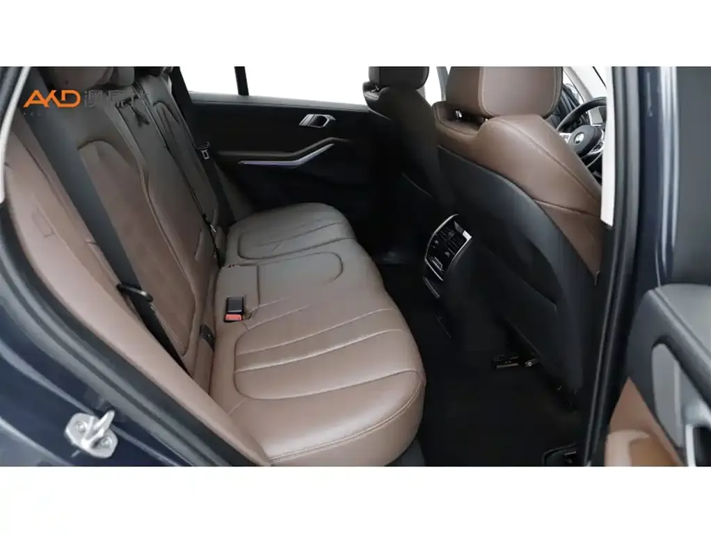 BMW X5 (Import) 2022 из CN, фото 7