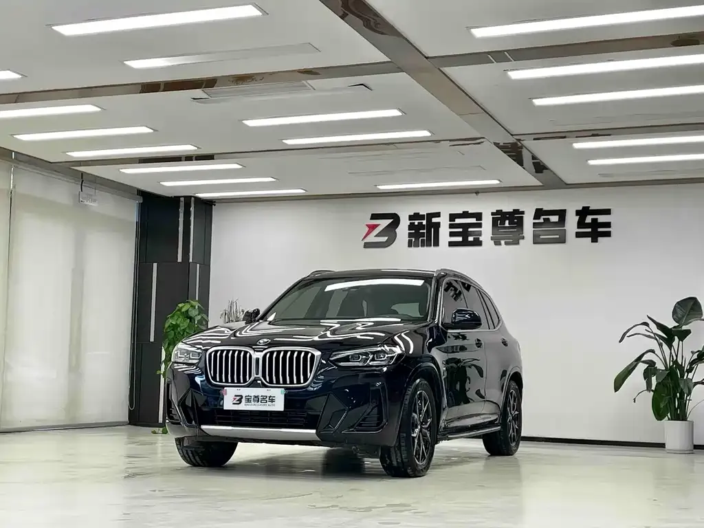 BMW X3 — фото 1