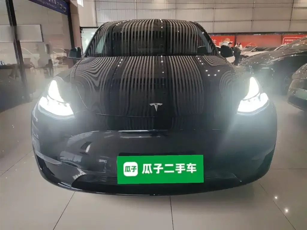 Tesla Model Y 2021 из CN, фото 2