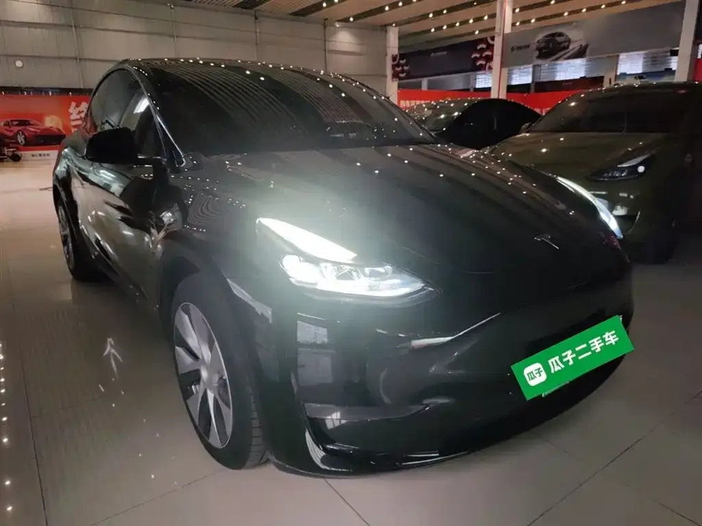 Tesla Model Y 2021 из CN, фото 3