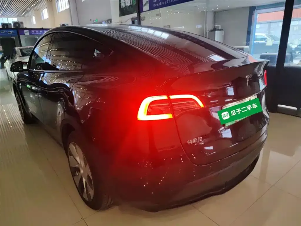 Tesla Model Y 2021 из CN, фото 4