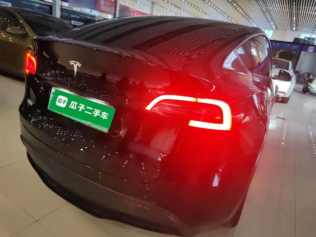 Tesla Model Y 2021 из CN, фото 5