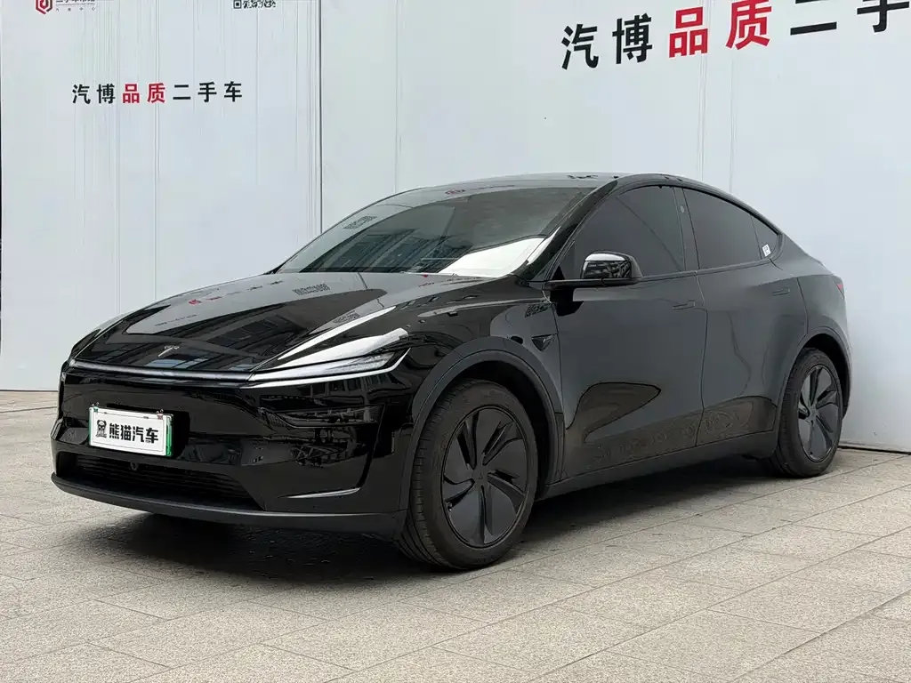 Tesla Model Y 2025 из CN, фото 1