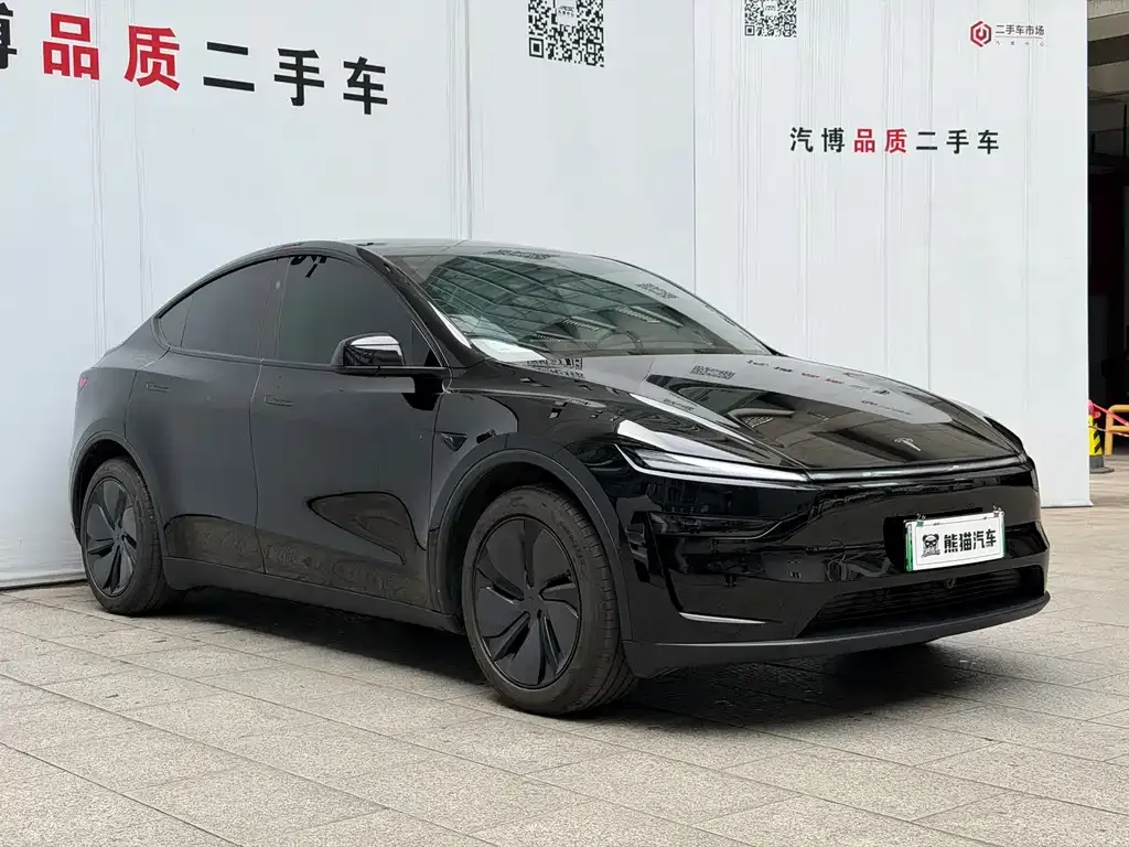Tesla Model Y 2025 из CN, фото 8