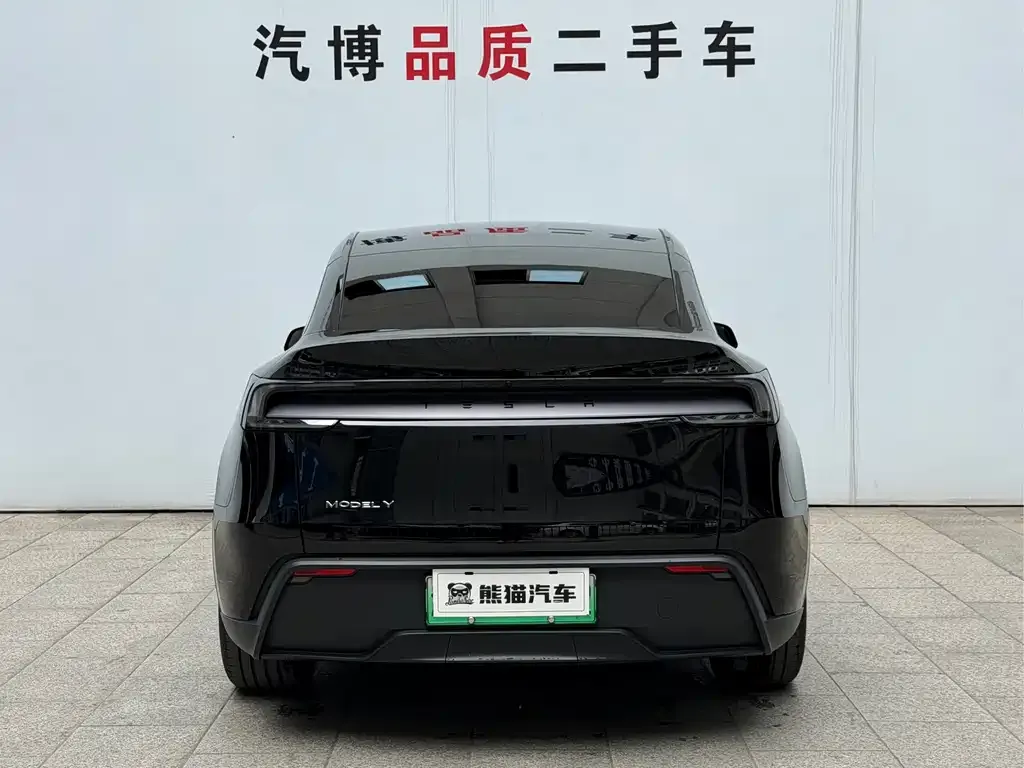 Tesla Model Y 2025 из CN, фото 9