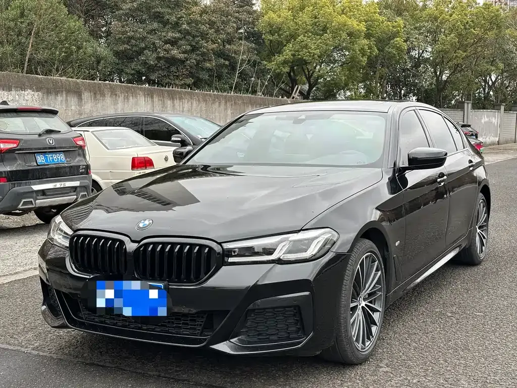 BMW 5 Series 2021 из CN, фото 1