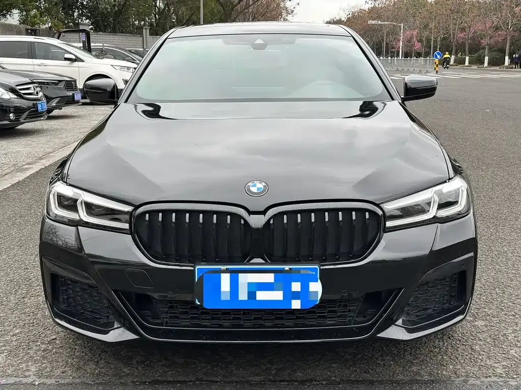 BMW 5 Series 2021 из CN, фото 7