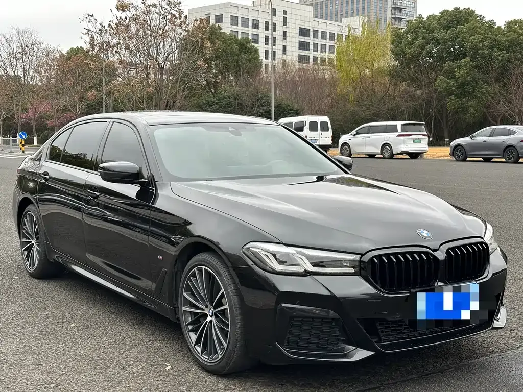 BMW 5 Series 2021 из CN, фото 9
