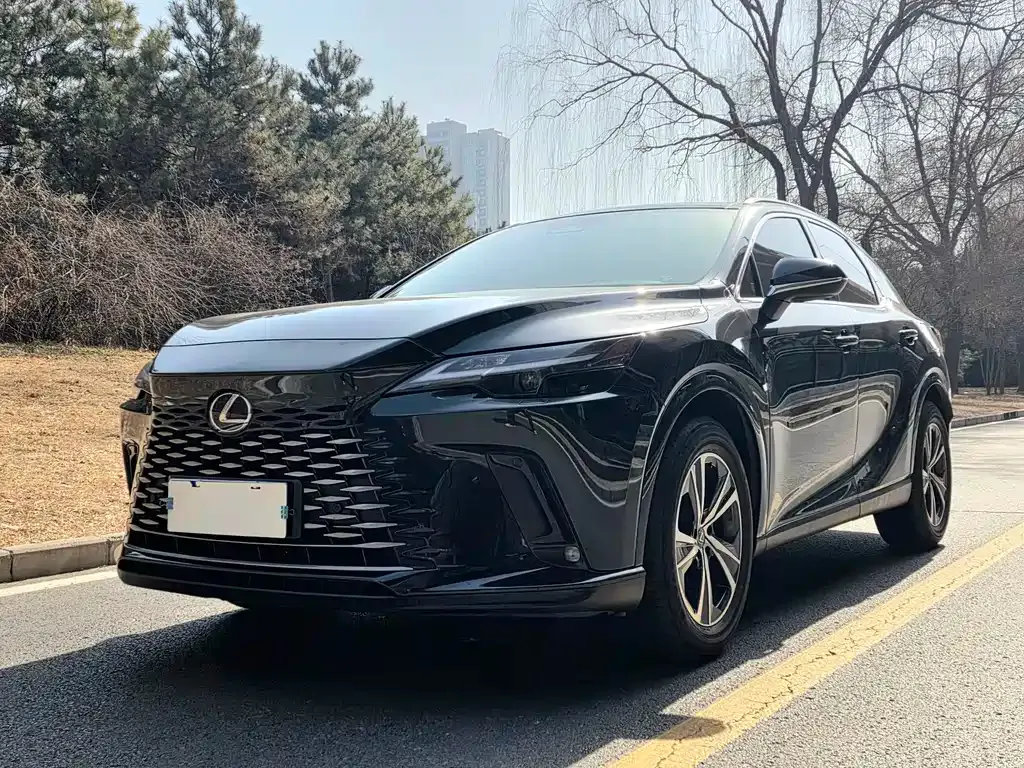 Lexus RX 2023 из CN, фото 1