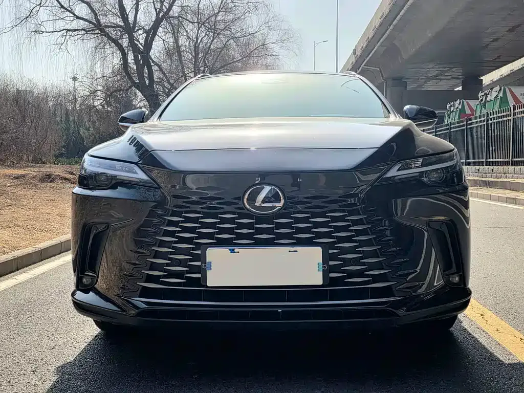 Lexus RX 2023 из CN, фото 7