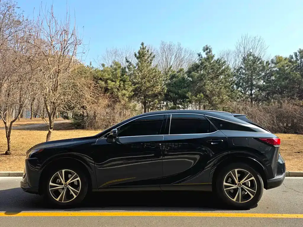 Lexus RX 2023 из CN, фото 9