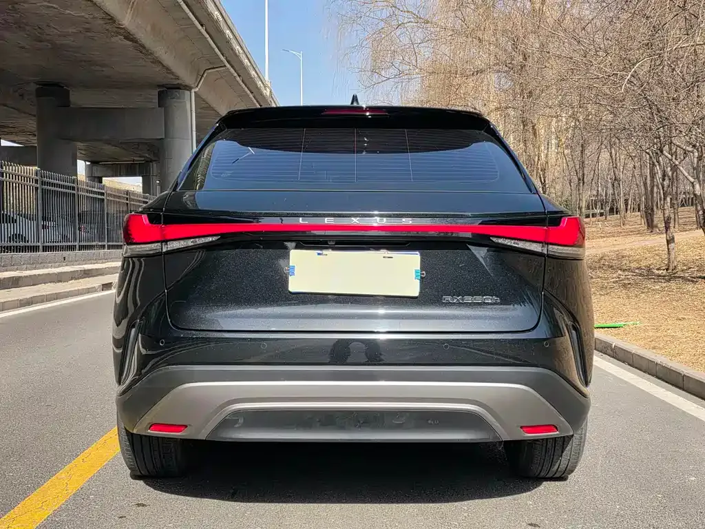 Lexus RX 2023 из CN, фото 8