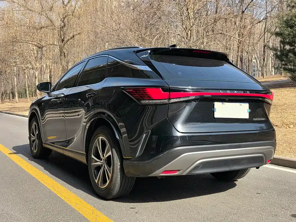 Lexus RX 2023 из CN, фото 6