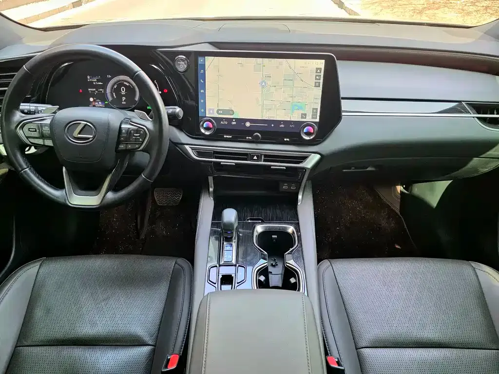 Lexus RX 2023 из CN, фото 5