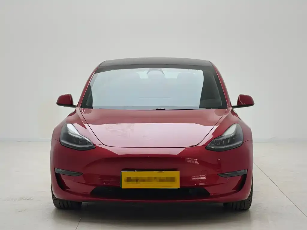 Tesla Model 3 2021 из CN, фото 6